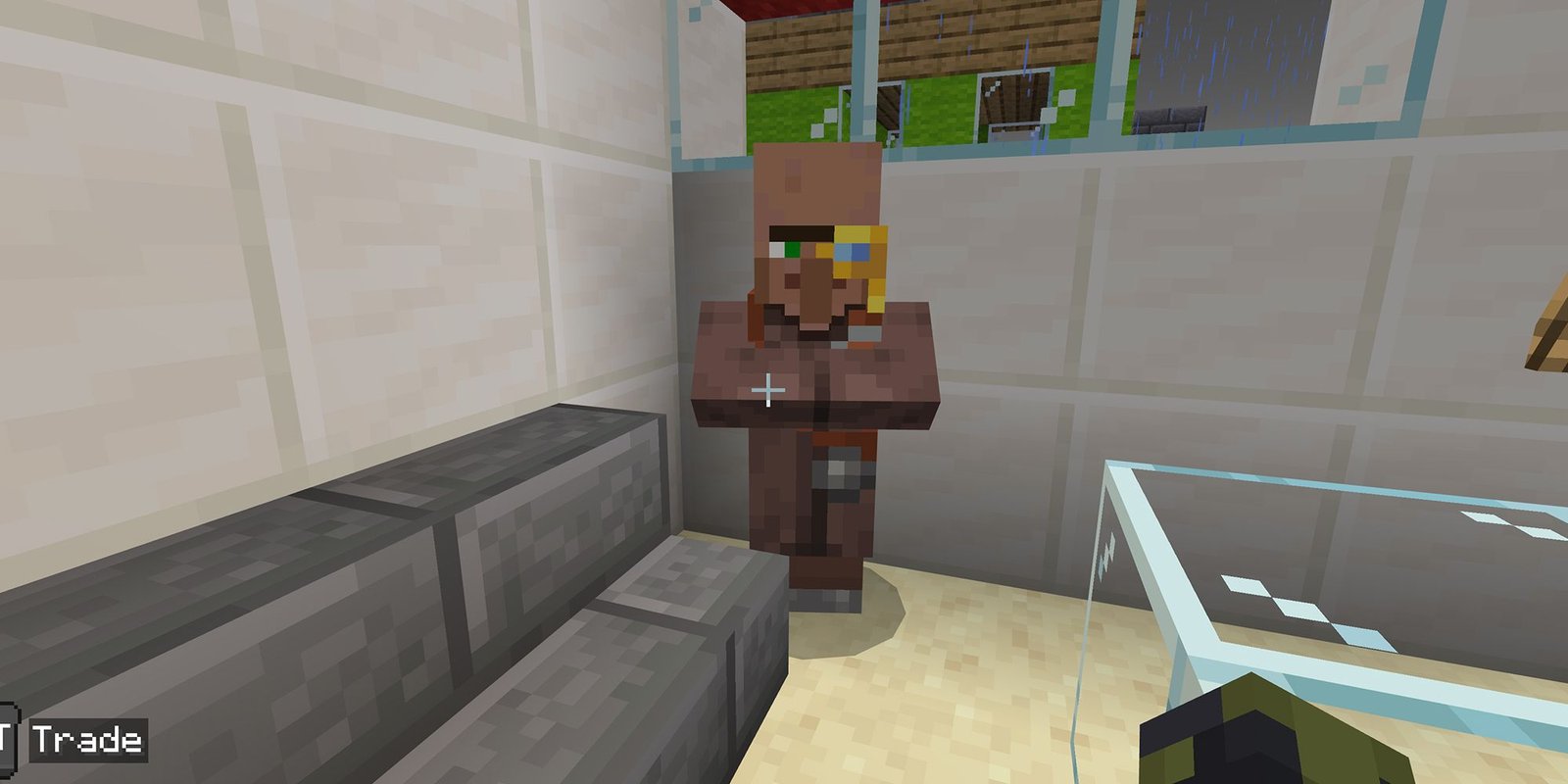 Cartographer Villager In Minecraft