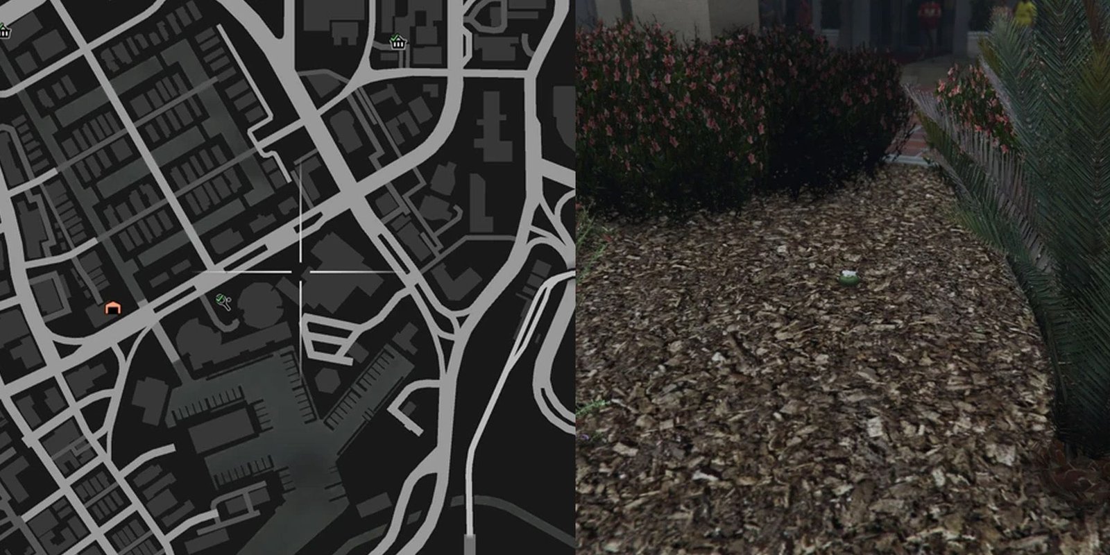 GTA Online Peyote Cactus Locations Number 15