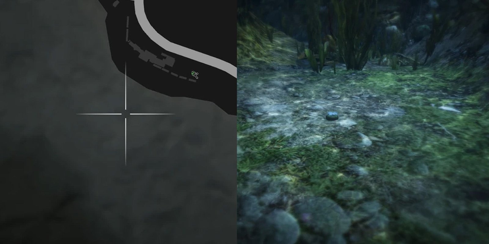 GTA Online Peyote Cactus Locations Number 38