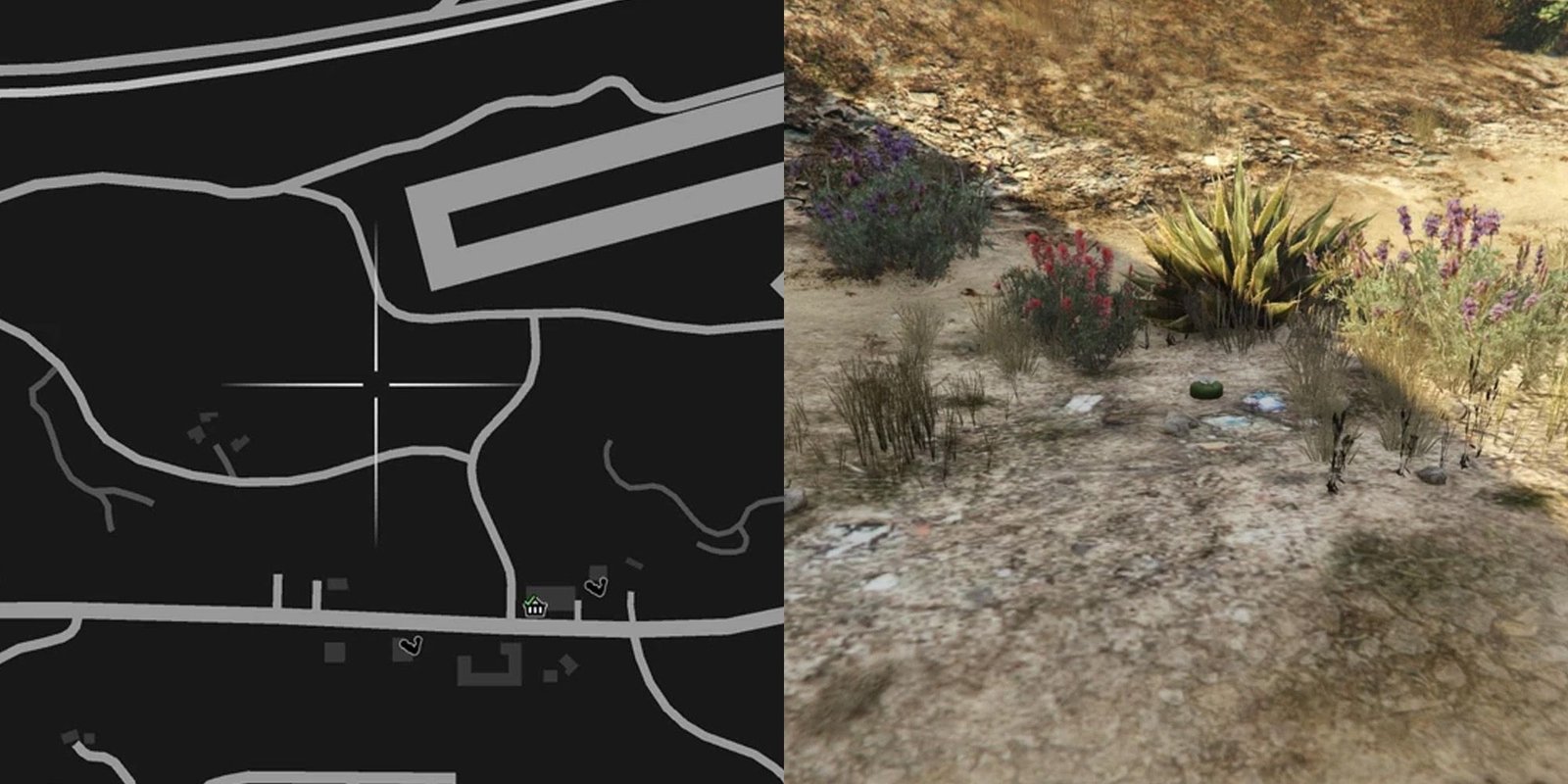 GTA Online Peyote Cactus Locations Number 54