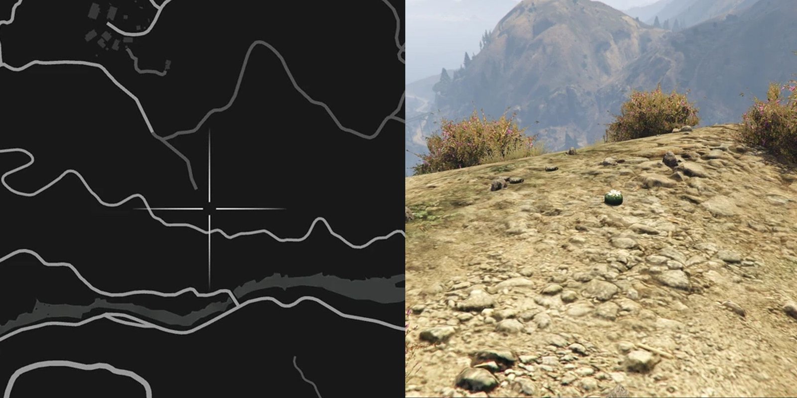 GTA Online Peyote Cactus Locations Number 58