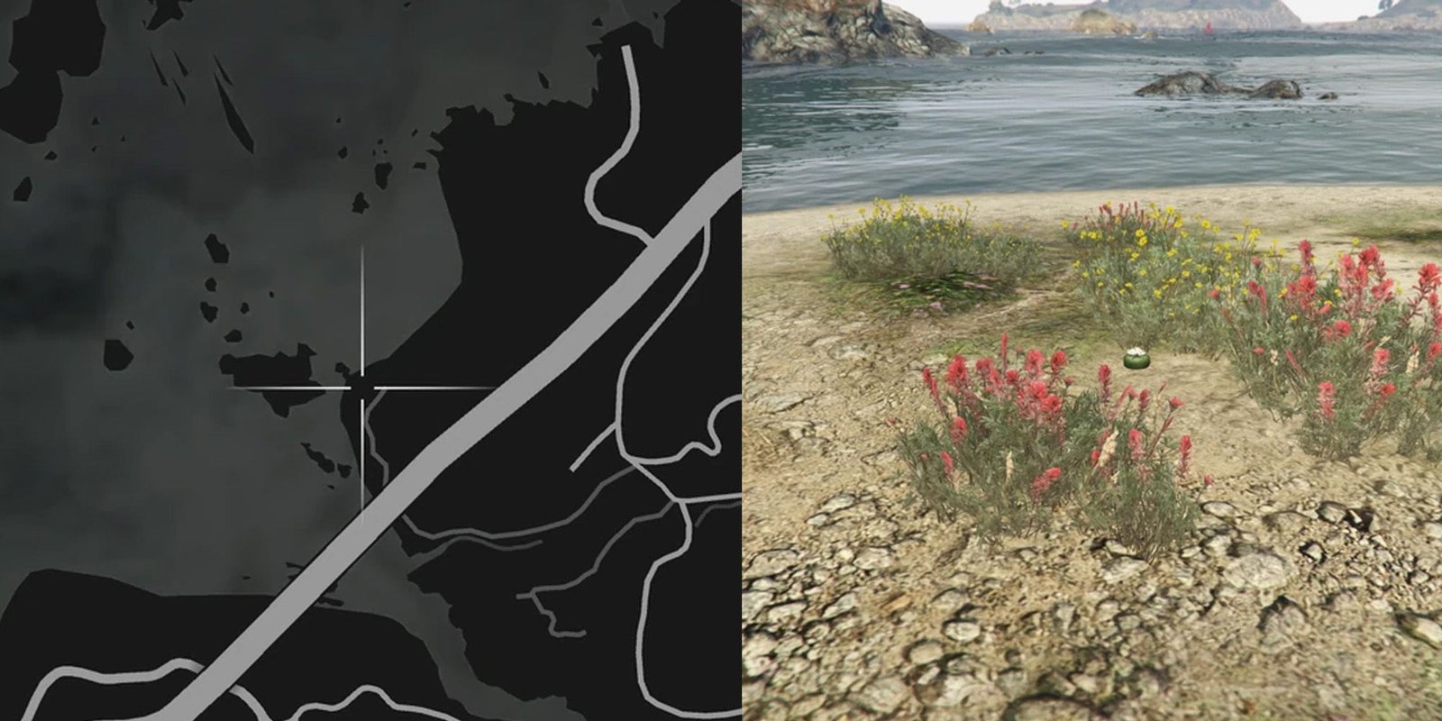 GTA Online Peyote Cactus Locations Number 64