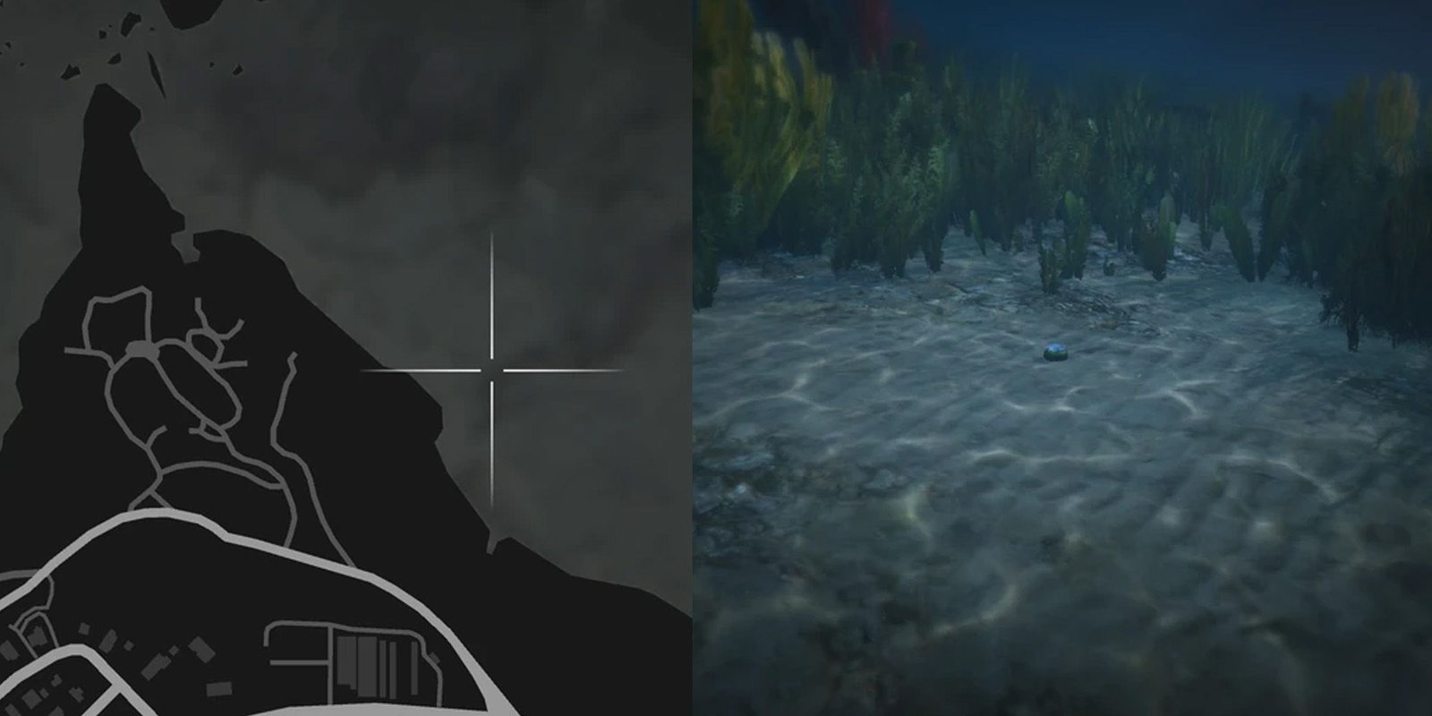GTA Online Peyote Cactus Locations Number 71